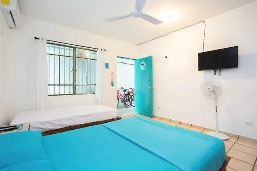 Casa Calido Kwatera prywatna *